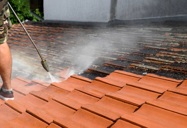 Best Local Pressure Washing Services  in Poplar Bluff, MO
